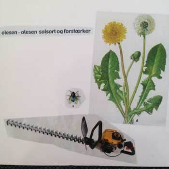 Album Olesen-Olesen: Solsort Og Forstærker