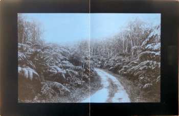 LP Songs: Ohia: Ghost Tropic