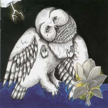 CD Songs: Ohia: The Magnolia Electric Co