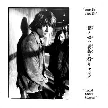 Album Sonic Youth: Hold That Tiger