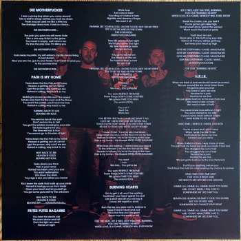 LP Sons Of Disaster: Cursed