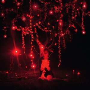 Album Sophie Hunger: The Danger Of  Light