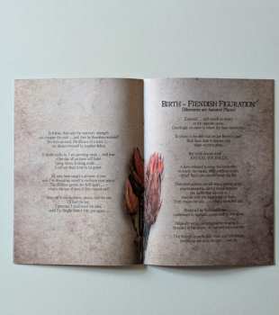 2LP Sopor Aeternus & The Ensemble Of Shadows: The Inexperienced Spiral Traveller CLR | LTD