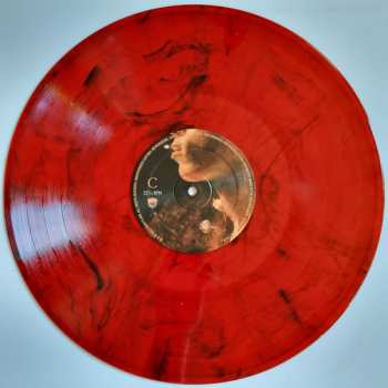 2LP sor: Bae Doven LTD