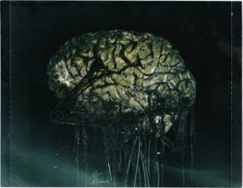 CD Soreption: Engineering The Void