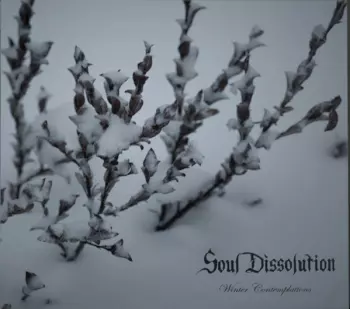 Winter Contemplations