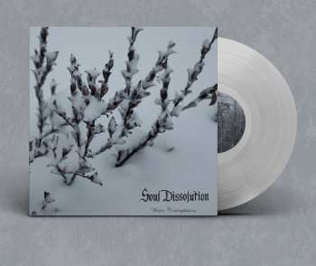 LP Soul Dissolution: Winter Contemplations LTD | CLR