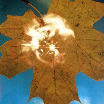 LP Андрей Иванов: Force Of The Wind