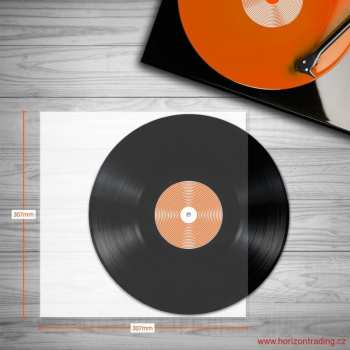 Audiotechnika Spincare Audiophile 12 Inch Inner Vinyl Record Sleeves - 100 Ks