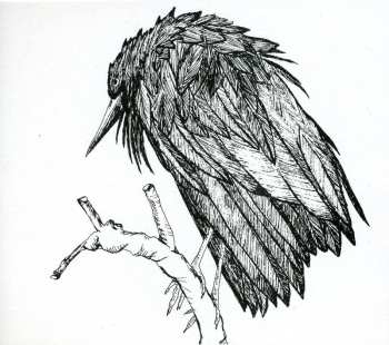 Album Spiral Joy Band: Little Sparrow