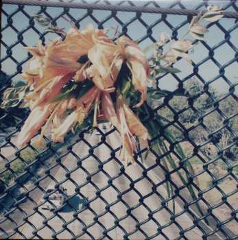 LP Spirit Club: Spirit Club