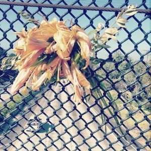 Album Spirit Club: Spirit Club