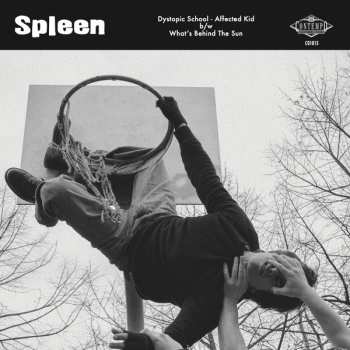 Album Spleen: Dystopic School