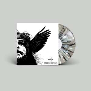 LP Splendidula: Somnus