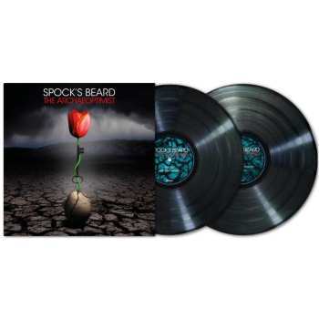 2LP Spock's Beard: The Archaeoptimist