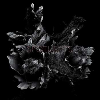 Album Spotlights: Love & Decay