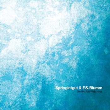 CD F.S. Blumm: The Bird And White Noise