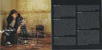 CD/DVD Staind: 14 Shades Of Grey LTD