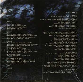 CD Staind: Break The Cycle