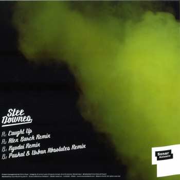 LP Stee Downes: Caught Up