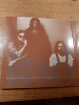 LP Steely Dan: Can't Buy A Thrill