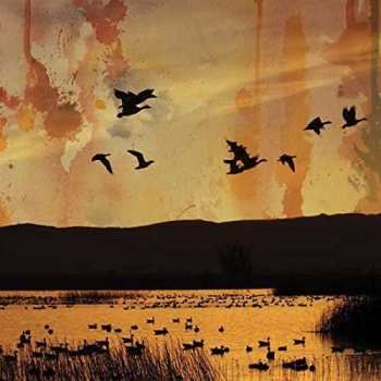 Album Stellar Descent: ​.​.​.​fading​.​.​.