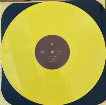 LP Stephen Bailey: G.G. Ryder