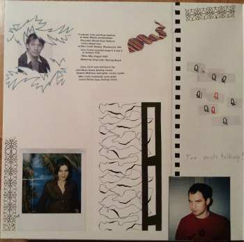 LP Stephen Malkmus & The Jicks: Pig Lib