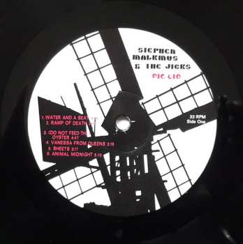LP Stephen Malkmus & The Jicks: Pig Lib