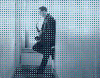 CD Steve Cole: NY LA