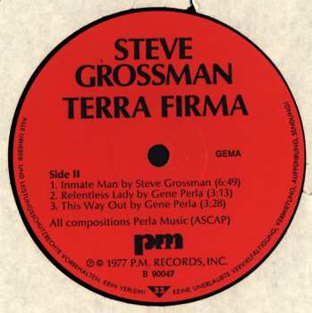 LP Steve Grossman: Terra Firma