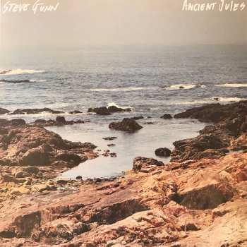 Album Steve Gunn: Ancient Jules