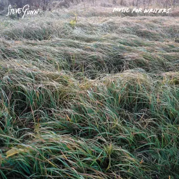 Steve Gunn: Music For Writers