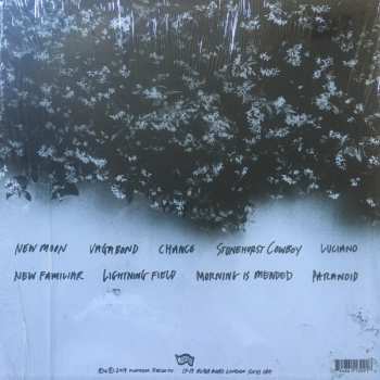 LP Steve Gunn: The Unseen In Between