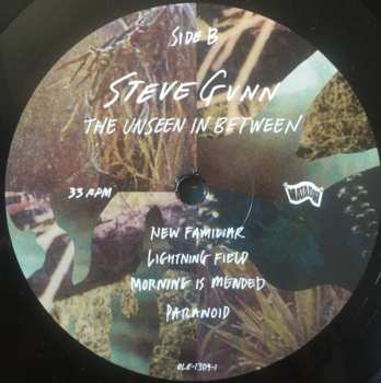 LP Steve Gunn: The Unseen In Between