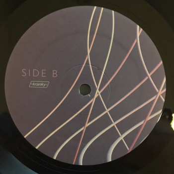 LP Steve Hauschildt: Strands