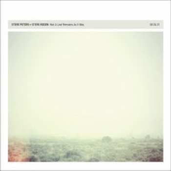Album Steve Roden: Not A Leaf Remains As It Was