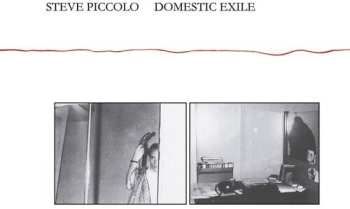 Album Steve Piccolo: Domestic Exile