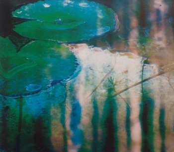 CD Mark Seelig: Nightbloom