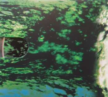 CD Mark Seelig: Nightbloom