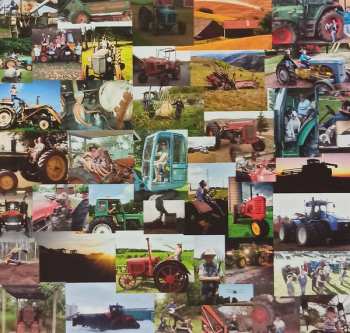 LP Steve'n'Seagulls: Farm Machine