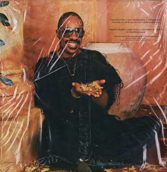 LP Stevie Wonder: In Square Circle