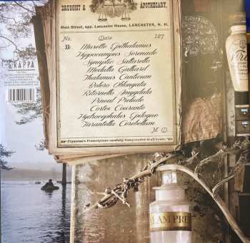 2LP Stian Carstensen: Musical Sanatorium