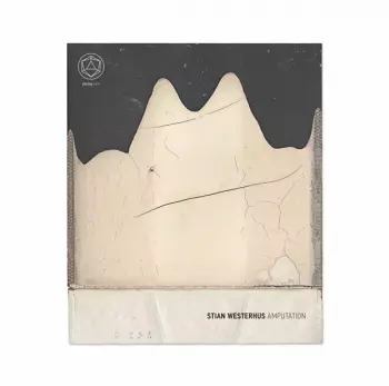 Stian Westerhus: Amputation