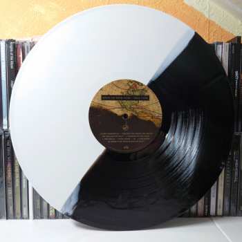 LP Stick To Your Guns: True View LTD | CLR