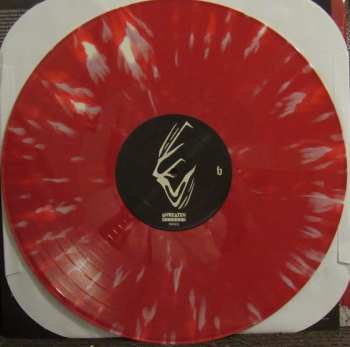 LP Stigmata: Conditioned To Murder  CLR | LTD