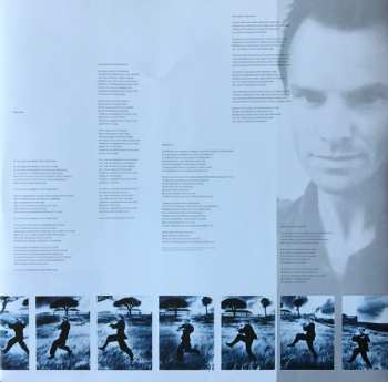 LP Sting: The Dream Of The Blue Turtles