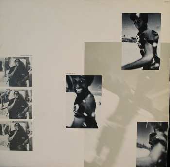 LP Sting: The Dream Of The Blue Turtles