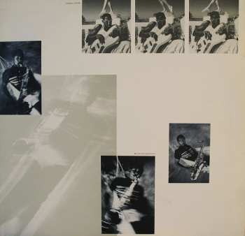 LP Sting: The Dream Of The Blue Turtles