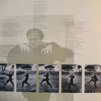 LP Sting: The Dream Of The Blue Turtles